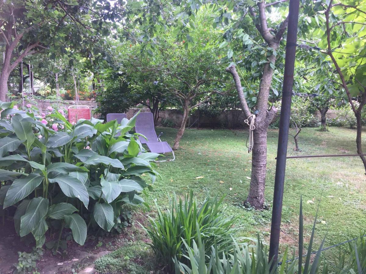 Apartament In Premantura/istrien 34773 Premantura